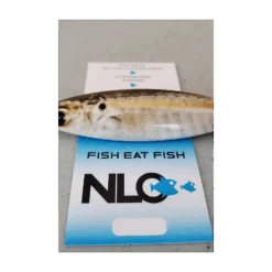 NLO RIDGE RIDER JIG -Fishing Product Shop 1 15