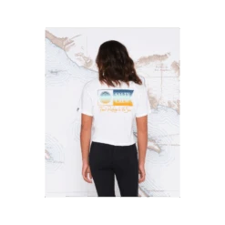 SALTY CREW ALPHA GRADIENT SKIMMER TEE